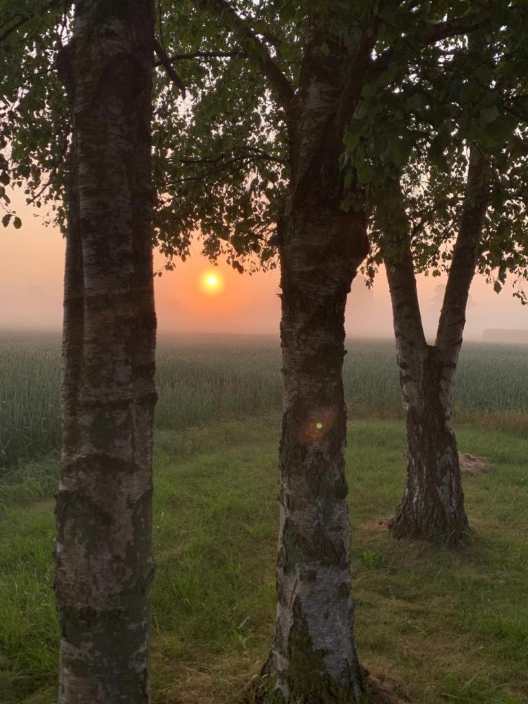 Romantic Luxus Glamping 1 Idestrup المظهر الخارجي الصورة