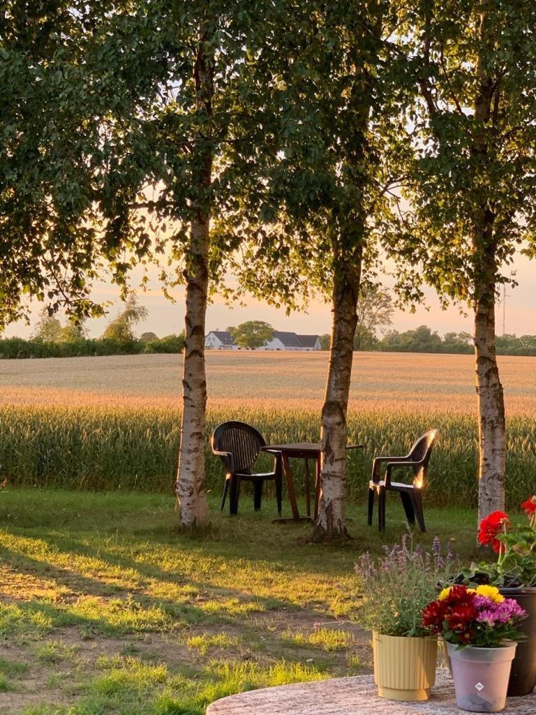 Romantic Luxus Glamping 1 Idestrup المظهر الخارجي الصورة