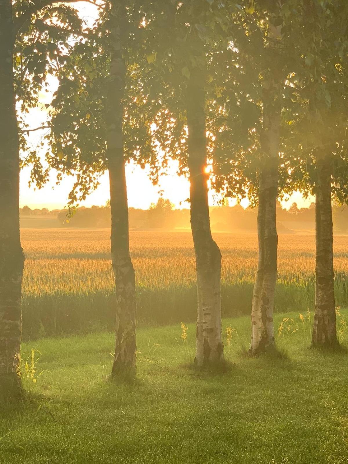 Romantic Luxus Glamping 1 Idestrup المظهر الخارجي الصورة